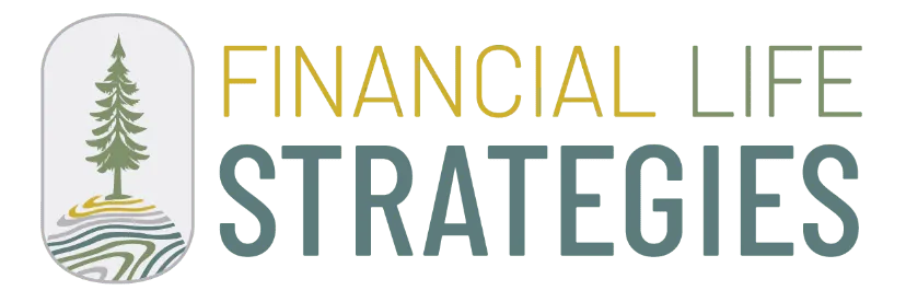 Financial Life Strategies