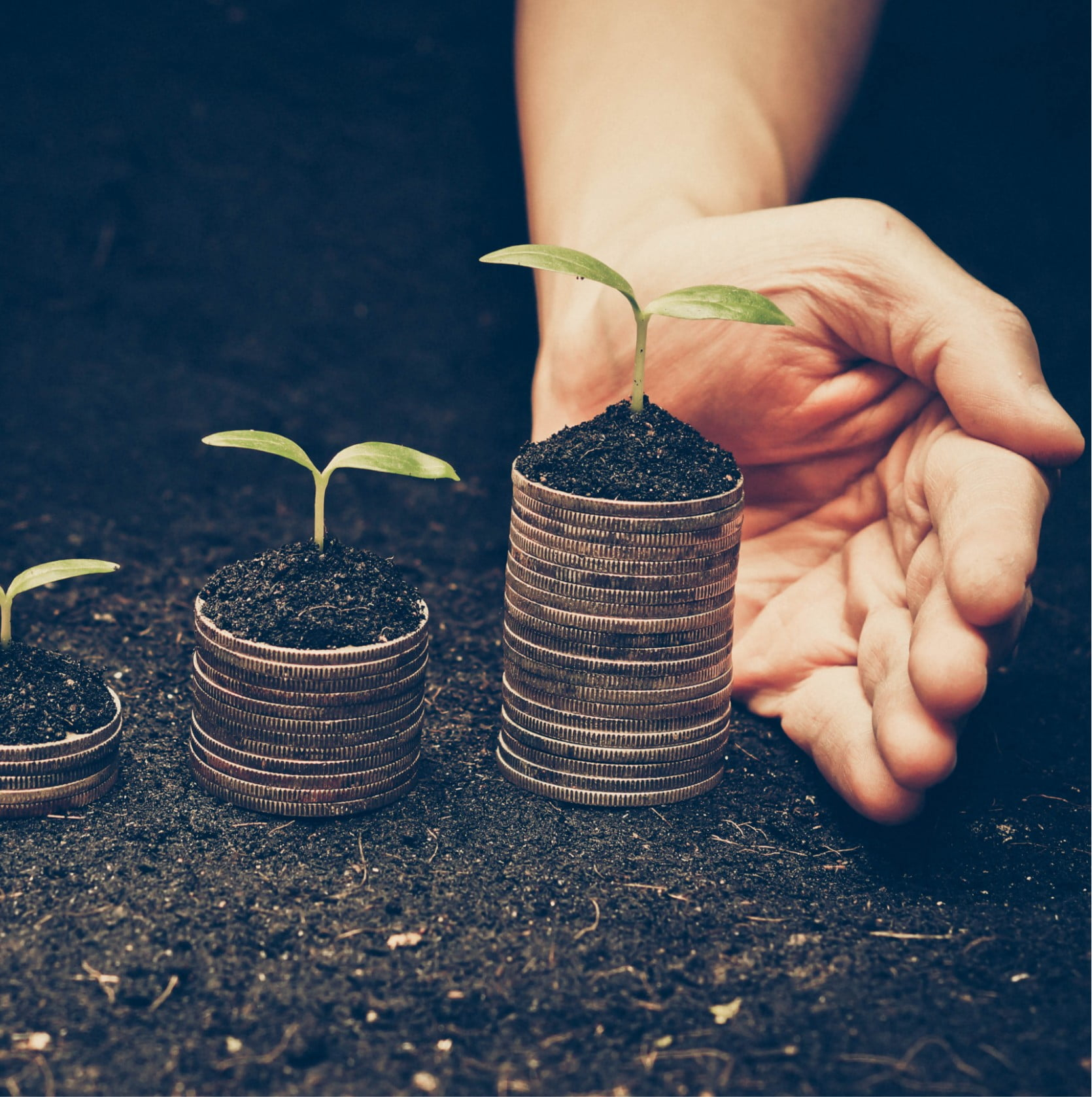 A picture of little plants sprouting out of some stacked coins in a dirt pile.